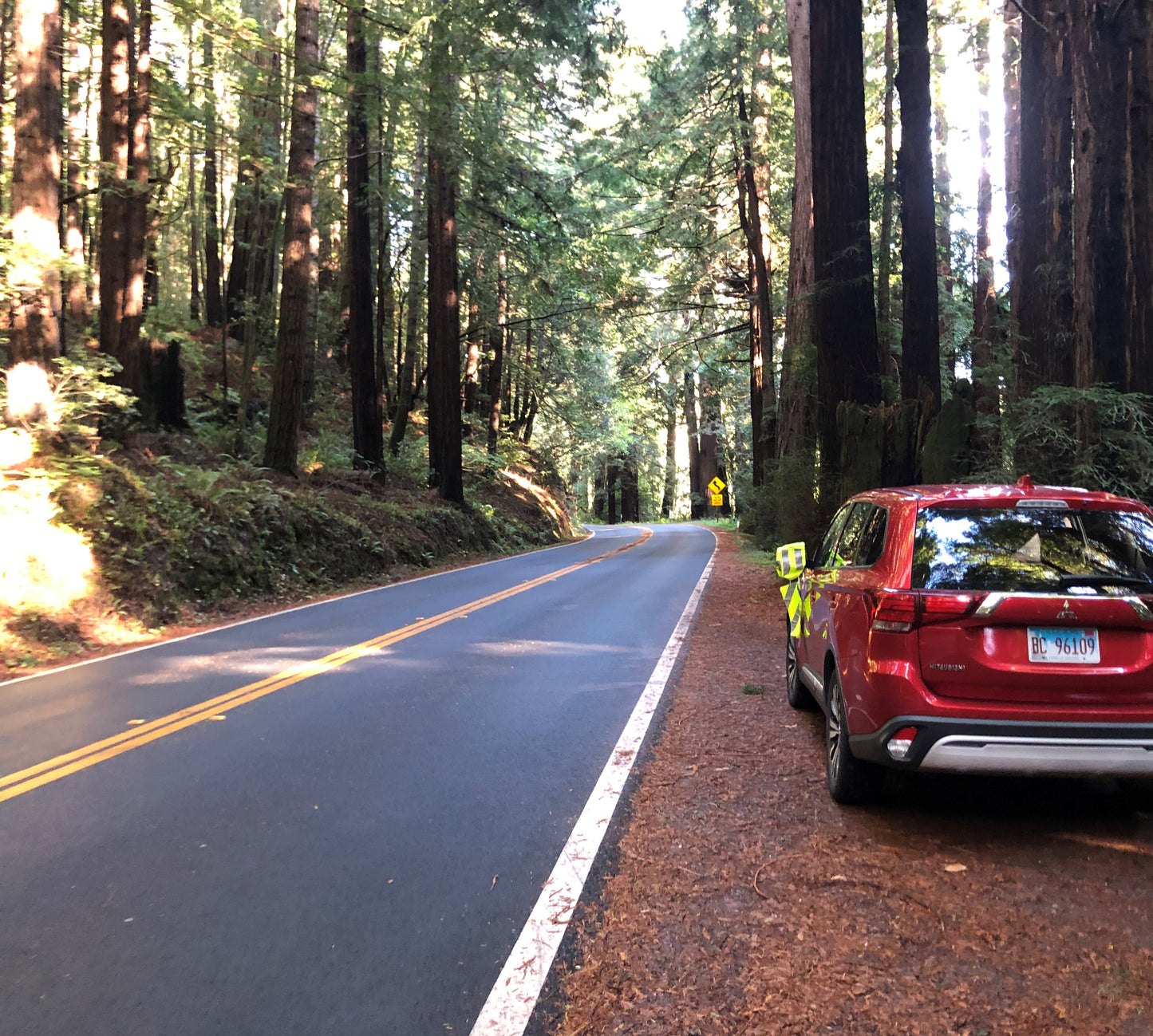 Car/SUV SafetySock - Roadside Security